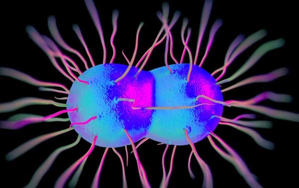 Does AZO help with STD symptoms