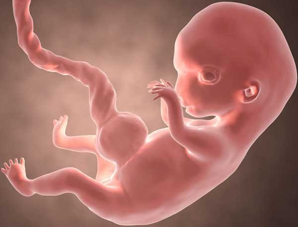 First pregnancy Abortion side effects: First pregnancy Abortion side effects: