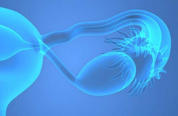 How Many Scans Per Cycle Are Carried Out? How Many Scans Per Cycle Are Carried Out?