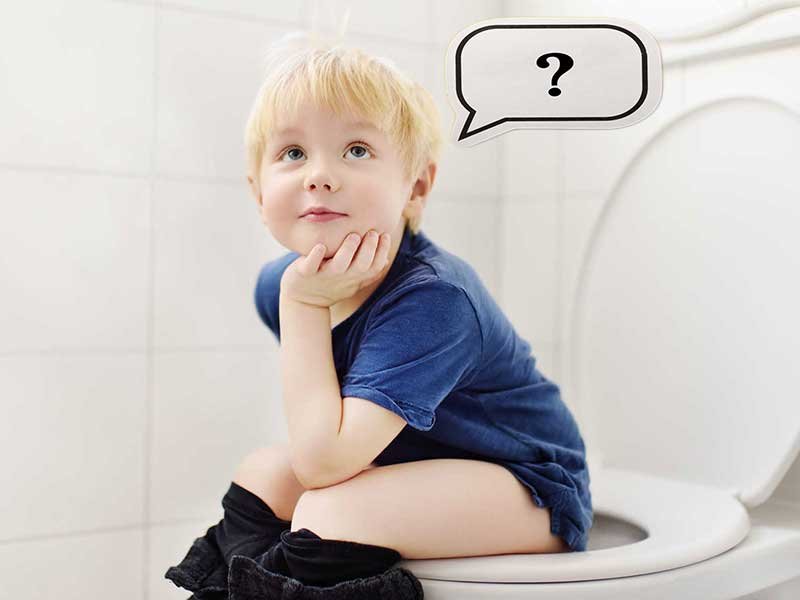 Potty Chair vs Potty Seat: should I use a potty or toilet Potty Chair vs Potty Seat: should I use a potty or toilet