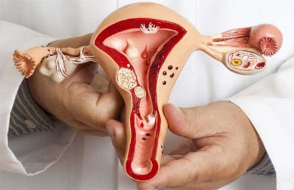 What is et in follicular study What is et in follicular study