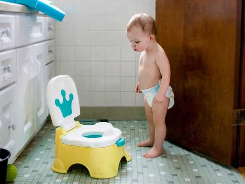 Potty Chair vs Potty Seat: when should you buy a potty chair Potty Chair vs Potty Seat: when should you buy a potty chair