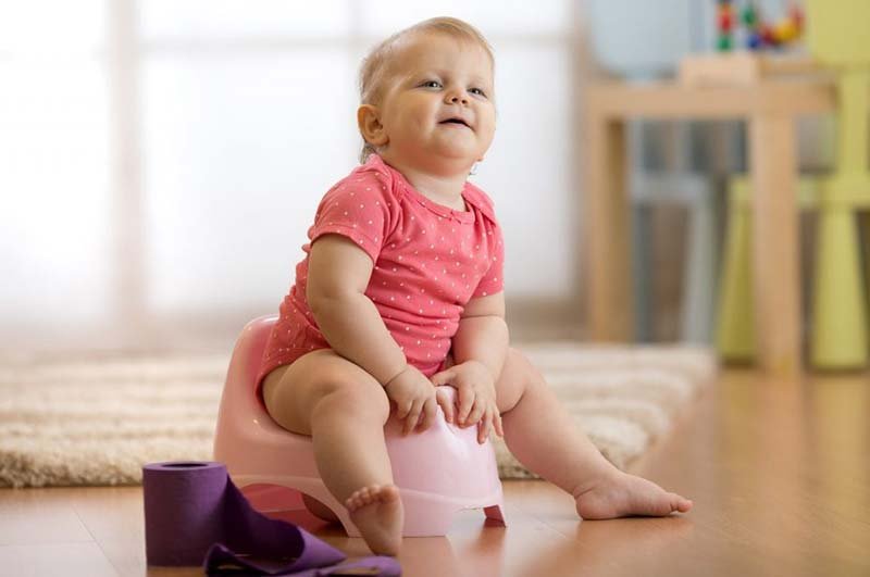 potty seat vs potty chair: Benefit of potty training chair potty seat vs potty chair: Benefit of potty training chair